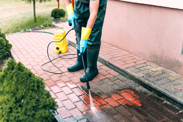 Best Roof Power Washing Services  in De Pue, IL