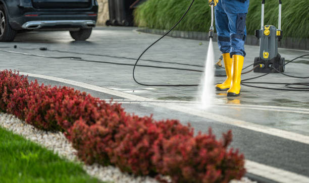 Best Deck Cleaning Services  in De Pue, IL