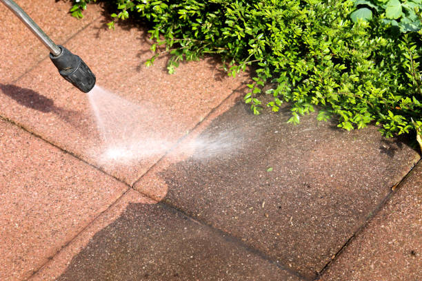Best Garage Pressure Washing  in De Pue, IL